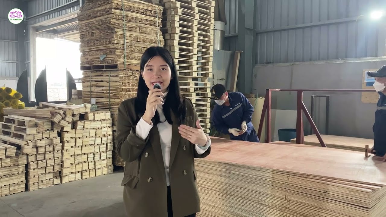 Why Commercial Plywood Blisters – And How We Fix It