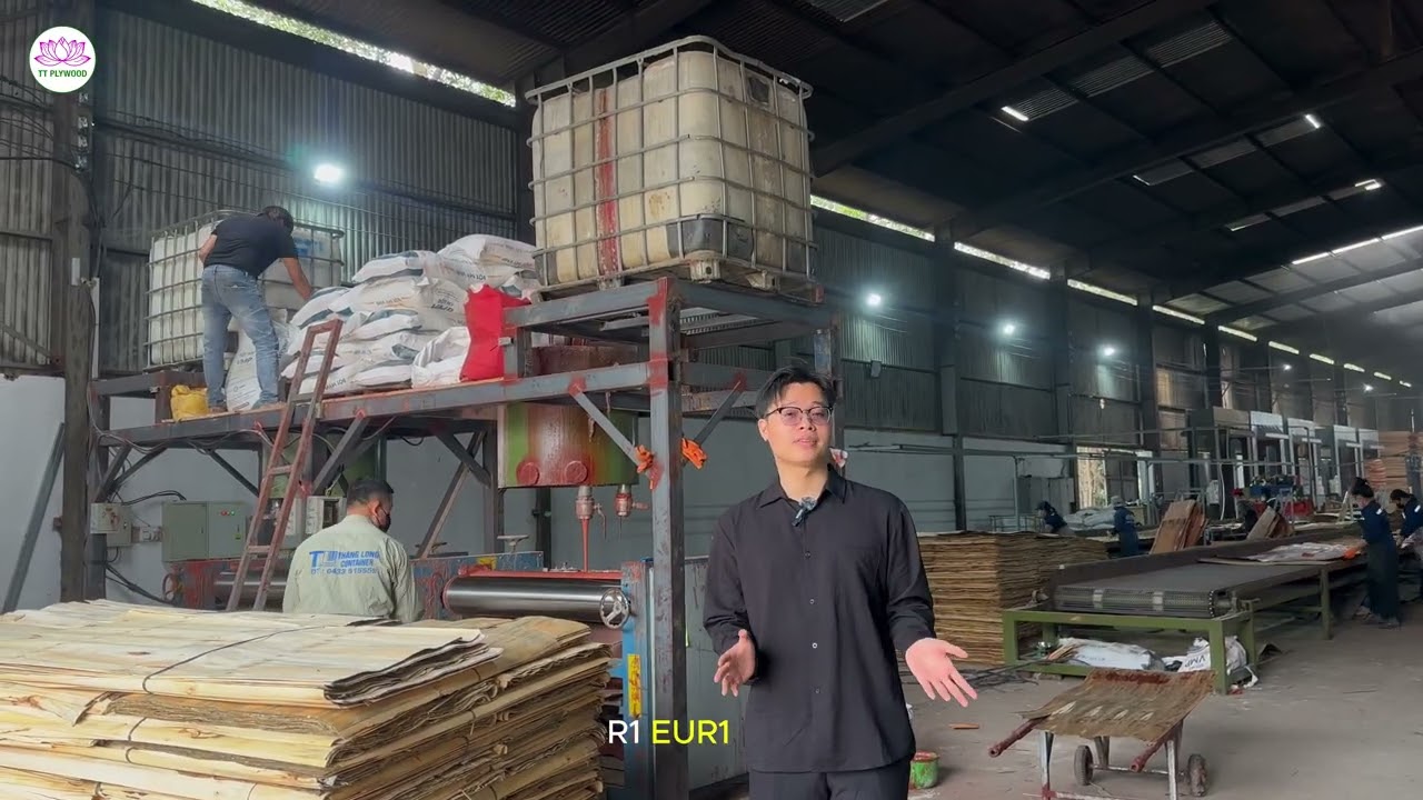 Why Vietnam Plywood Costs Less in Europe