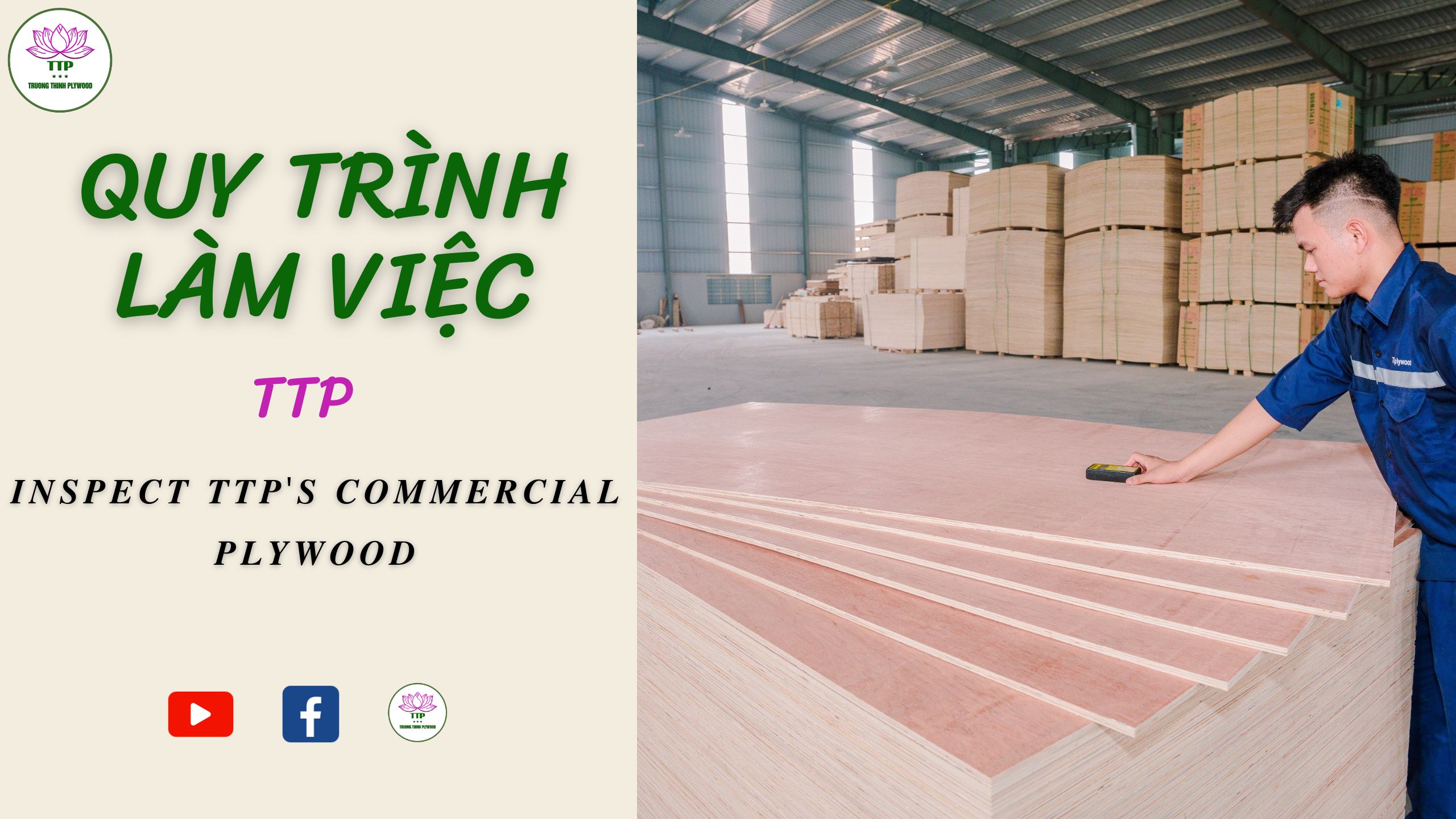 INSPECT  TTP'S COMMERCIAL PLYWOOD