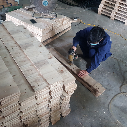 Plywood used to manufacture pallets