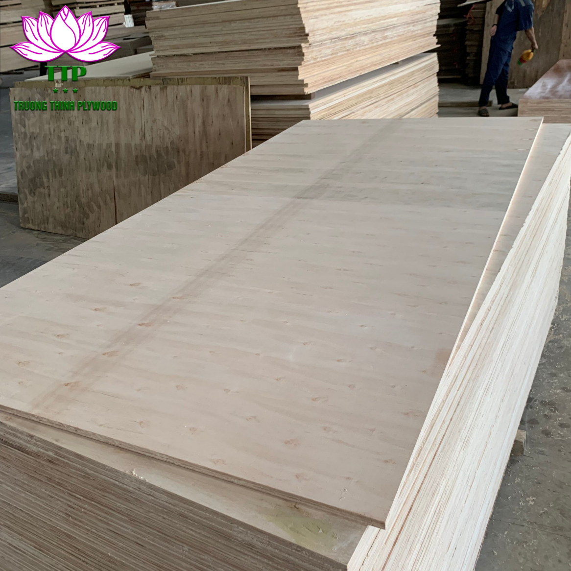 MATT CALIBRATED PLYWOOD 