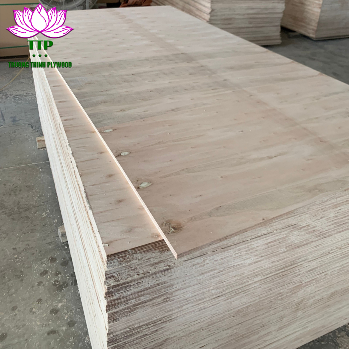 MATT CALIBRATED PLYWOOD 