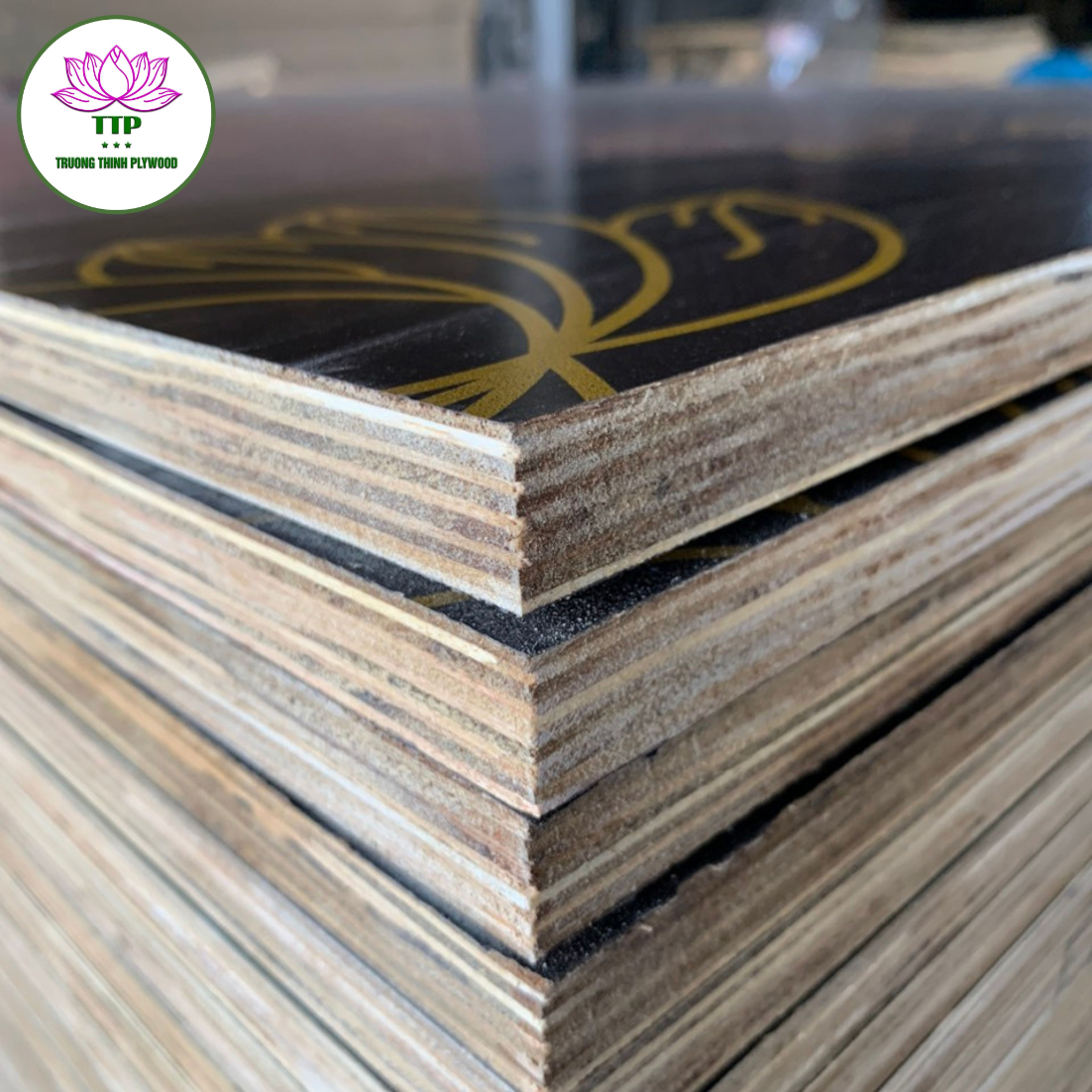 Film faced plywood