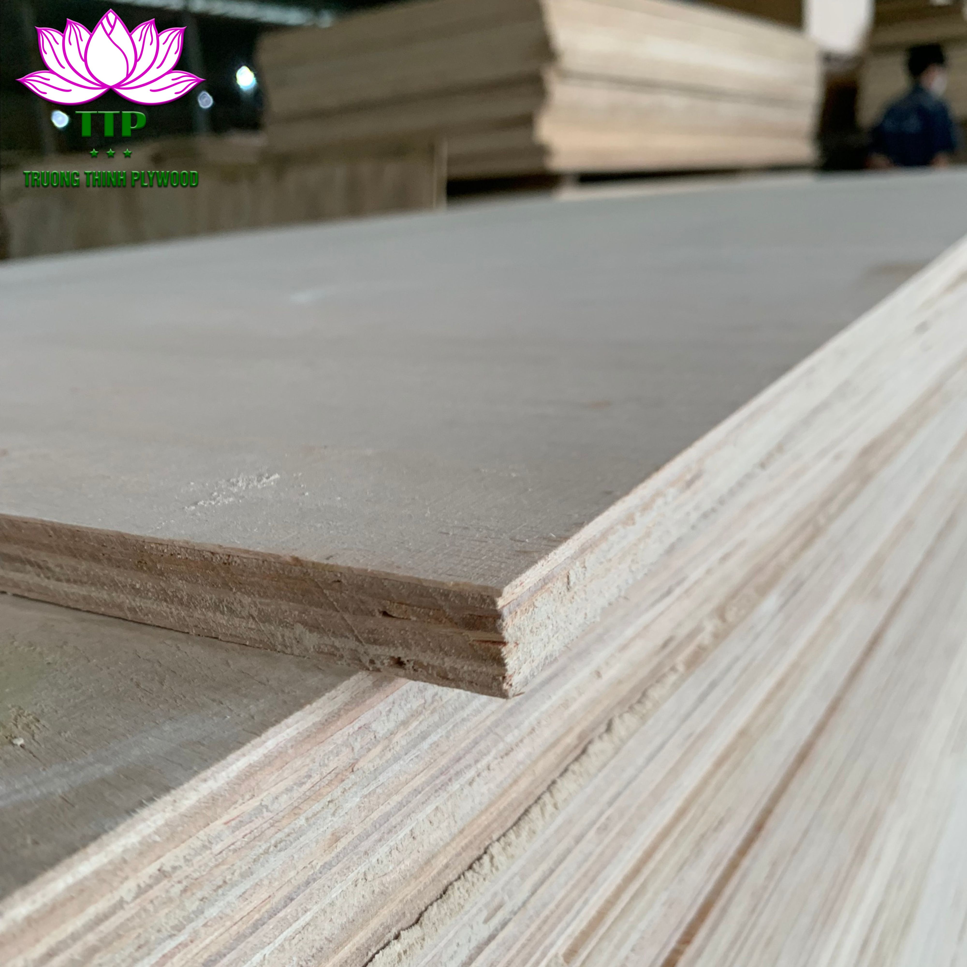 MATT CALIBRATED PLYWOOD 