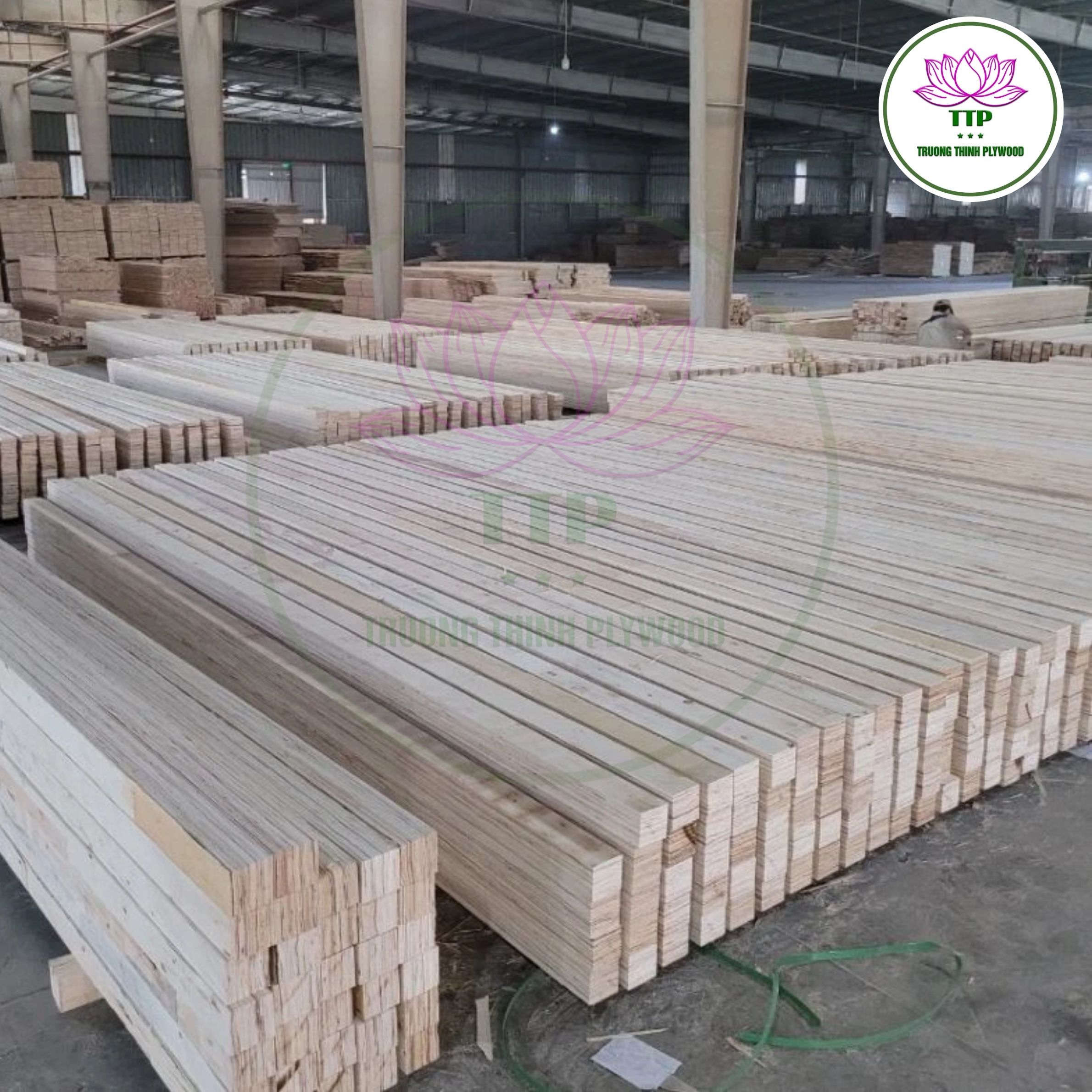 LVL Plywood 