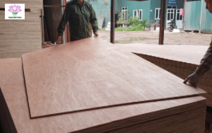 Plywood in VietNam