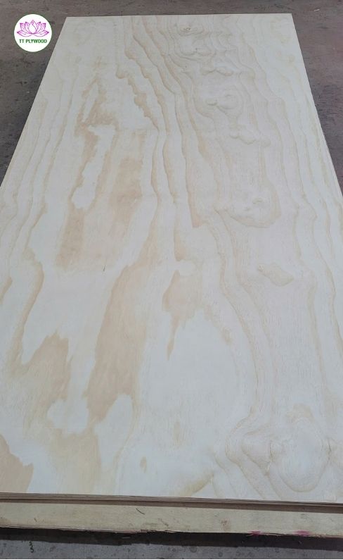 Pine Plywood