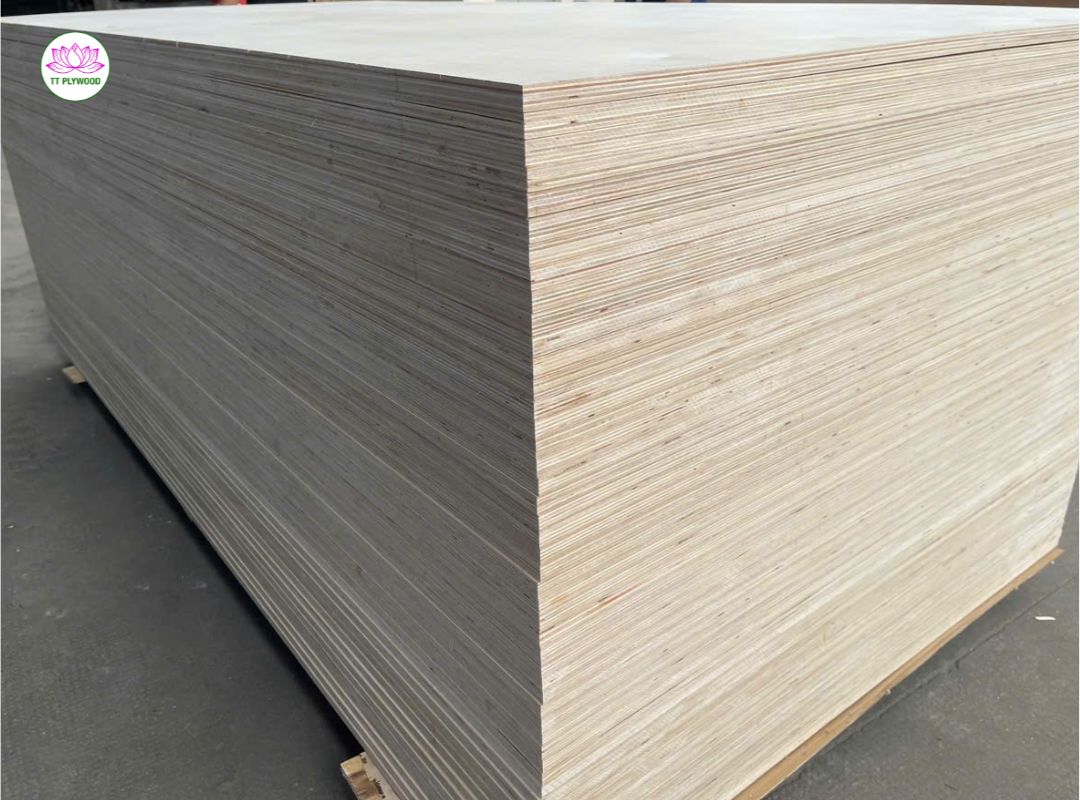 Birch Plywood Edges