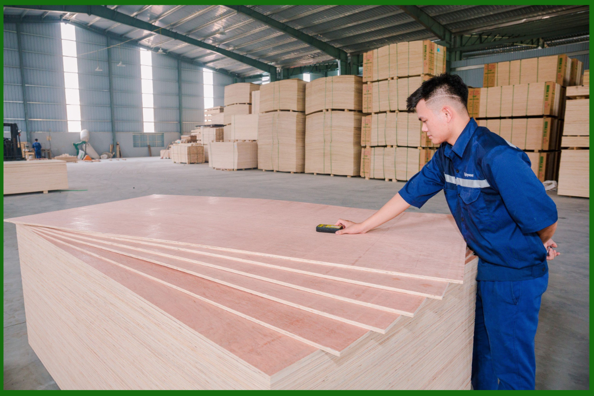 SOME COMMON COMMERCIAL PLYWOOD DEFECTS WHEN BEING INSPECTED BY TRUONG THINH