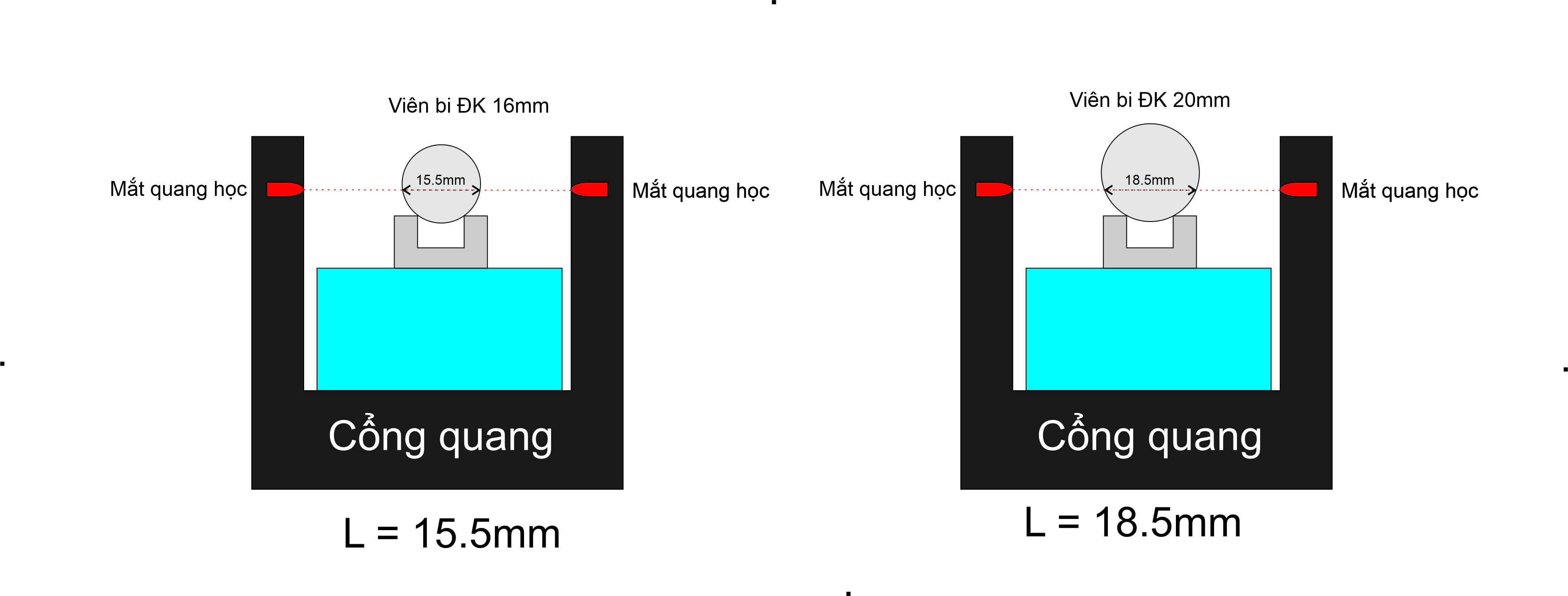 Khảo sát chuyển động thẳng đều và biến đổi đều