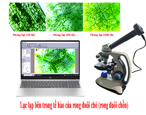 Sinh học