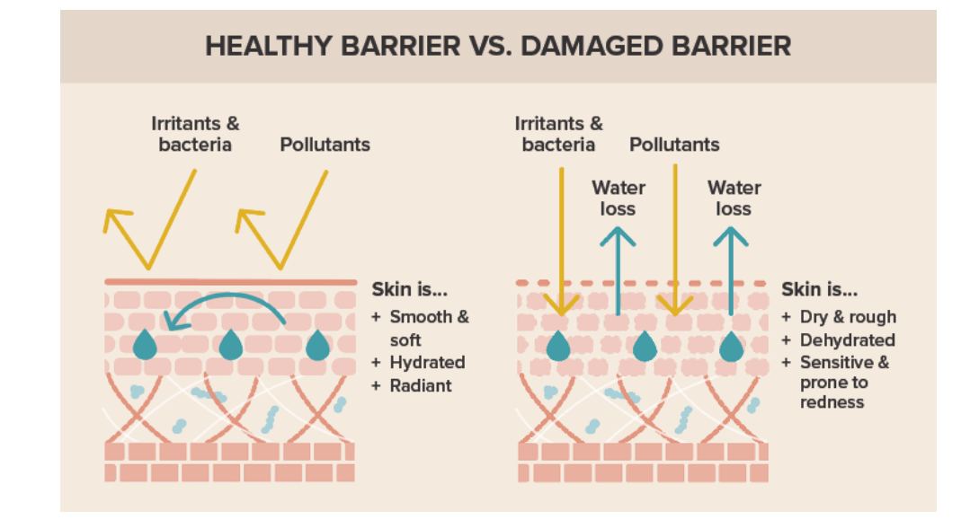 HÀNG RÀO BẢO VỆ DA