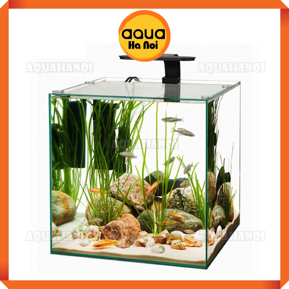 Bể cá kính siêu trong - Bể cá cảnh thủy sinh dán dấu keo, mài vi tính ...