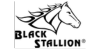 Black stallion