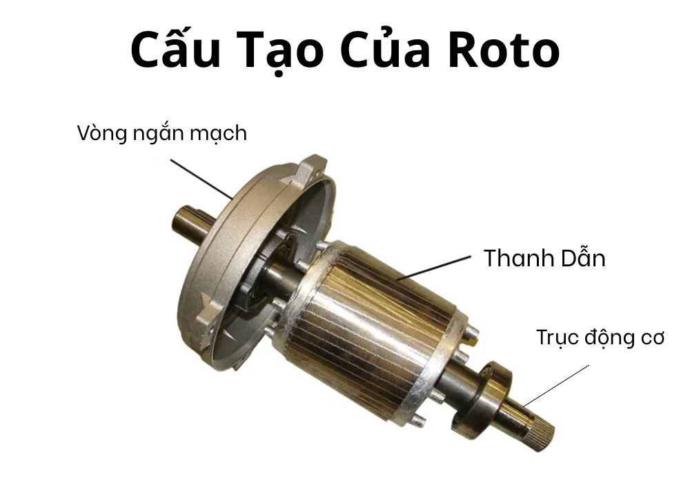 Cấu tạo của Roto