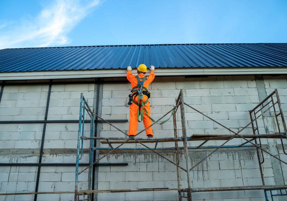 Dây đai àn toàn Việt