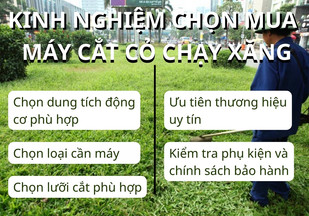 kinh nghiệm chọn mua máy cắt cỏ