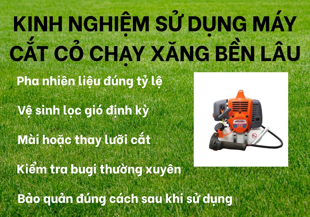 kinh nghiệm sử dụng máy cắt cỏ chạy xăng