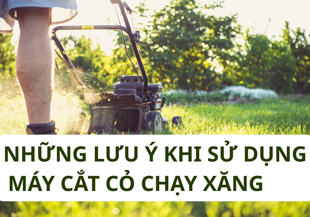 lưu ý khi sử dụng máy cắt cỏ
