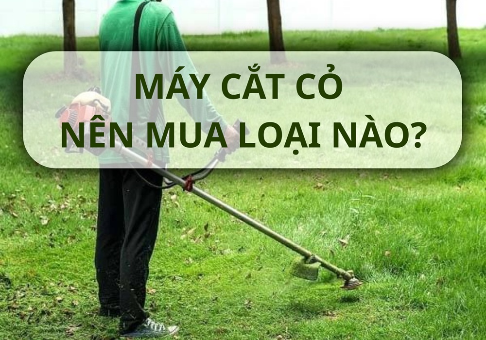 máy cắt cỏ nên mua loại nào