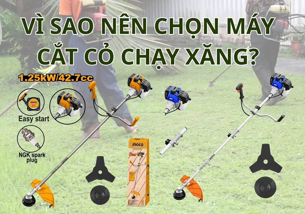 vì sao nên chọn máy cắt cỏ chạy xăng?