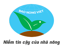 Công ty Cổ Phần Bảo Nông Việt