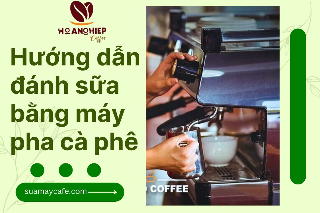 Hướng Dẫn Cách Đánh Sữa Bằng Máy Pha Cà Phê Chi Tiết