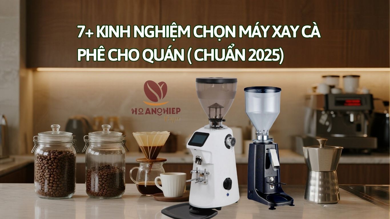 [7+] Kinh nghiệm chọn máy xay cà phê cho quán (Chuẩn 2025)