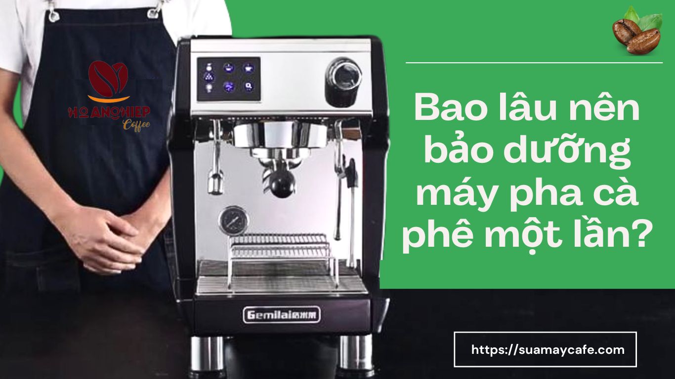 Bao lâu nên bảo dưỡng máy pha cà phê một lần?