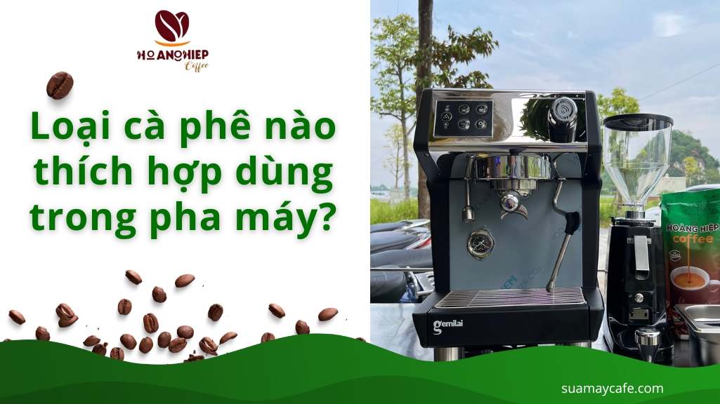 Loại cà phê nào thích hợp dùng trong pha máy