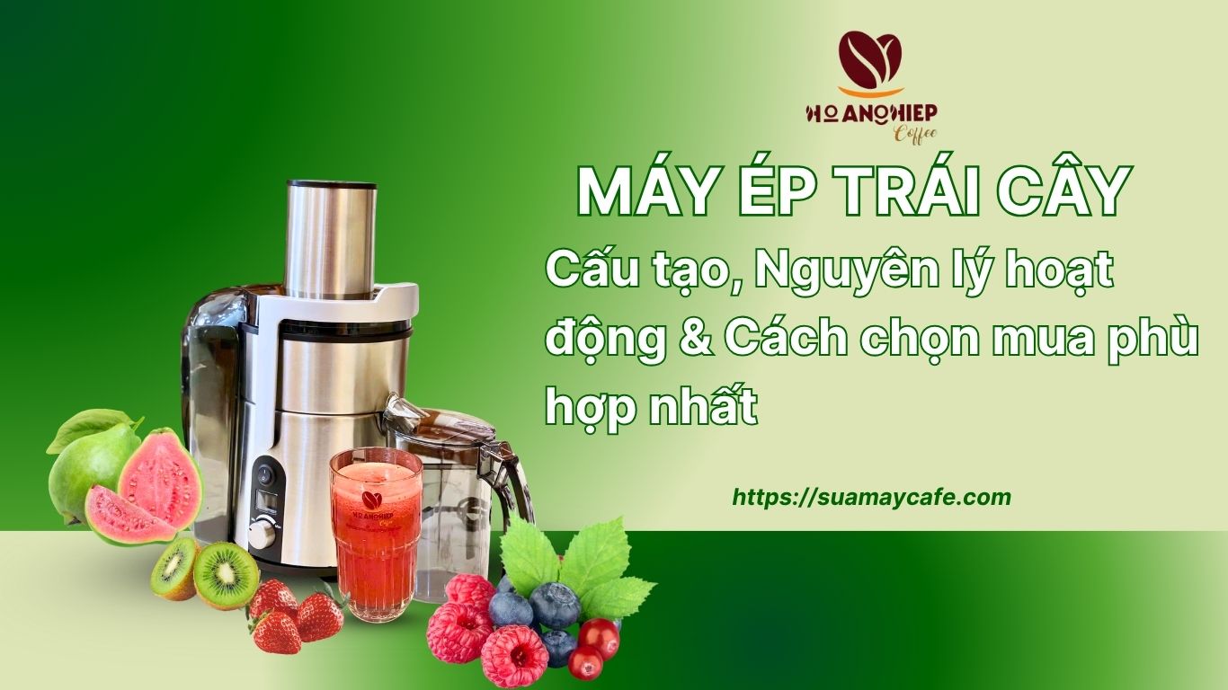 Máy Ép Trái Cây: Cấu Tạo, Nguyên Lý Hoạt Động & Cách Chọn Mua Phù Hợp Nhất