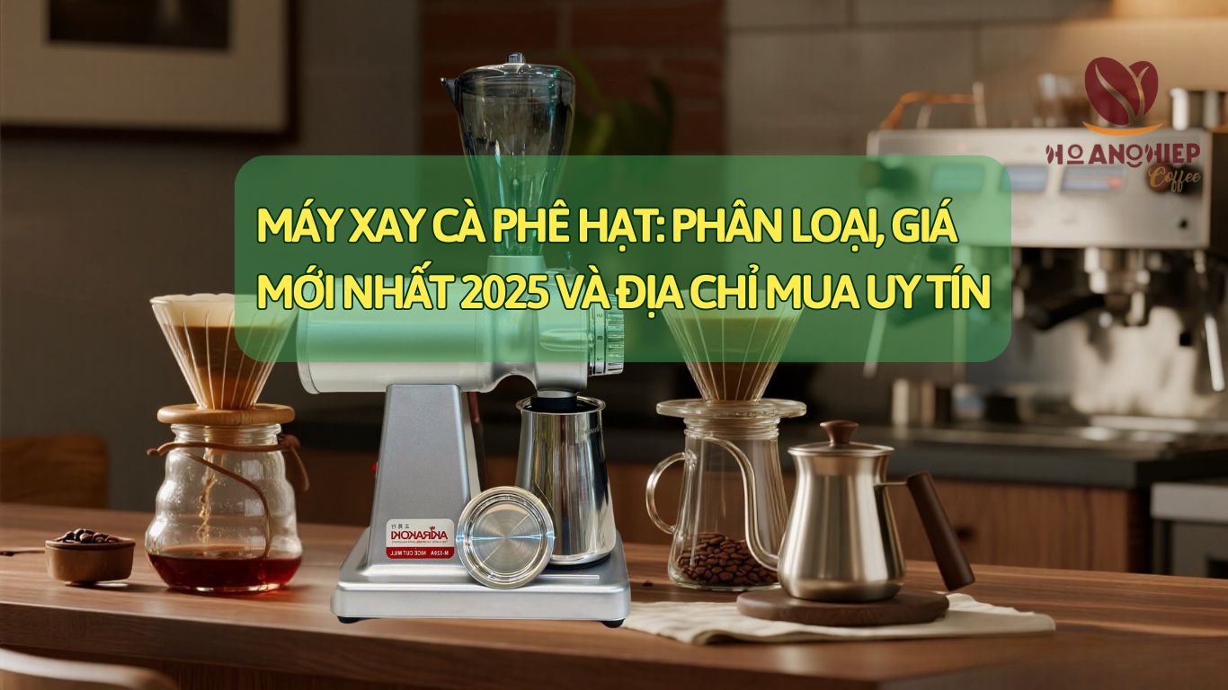 Máy xay cà phê hạt: Phân loại, giá mới nhất 2025 & địa chỉ mua uy tín