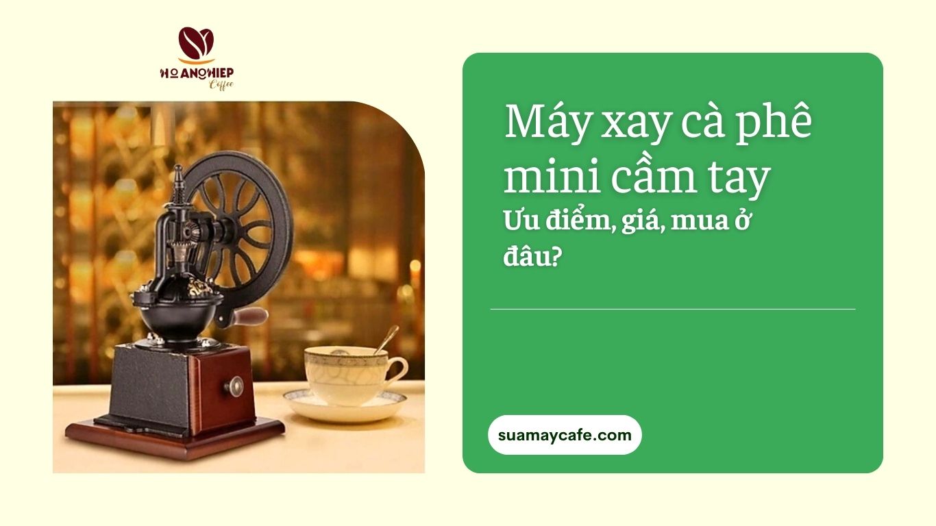 [2025] Máy xay cà phê mini cầm tay (Ưu điểm, giá & mua ở đâu?)