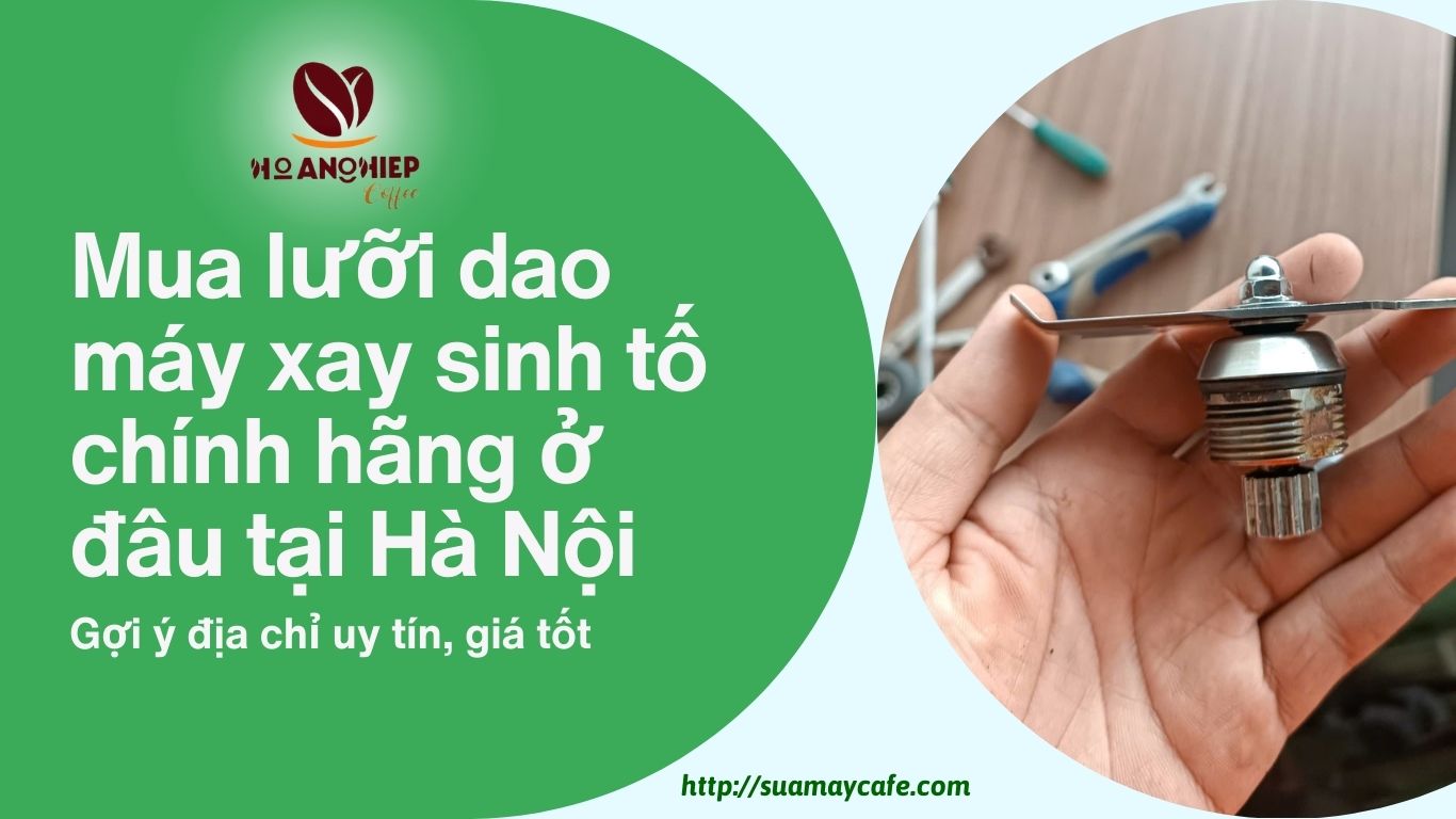 Mua lưỡi dao máy xay sinh tố chính hãng ở đâu tại Hà Nội? Gợi ý địa chỉ uy tín, giá tốt