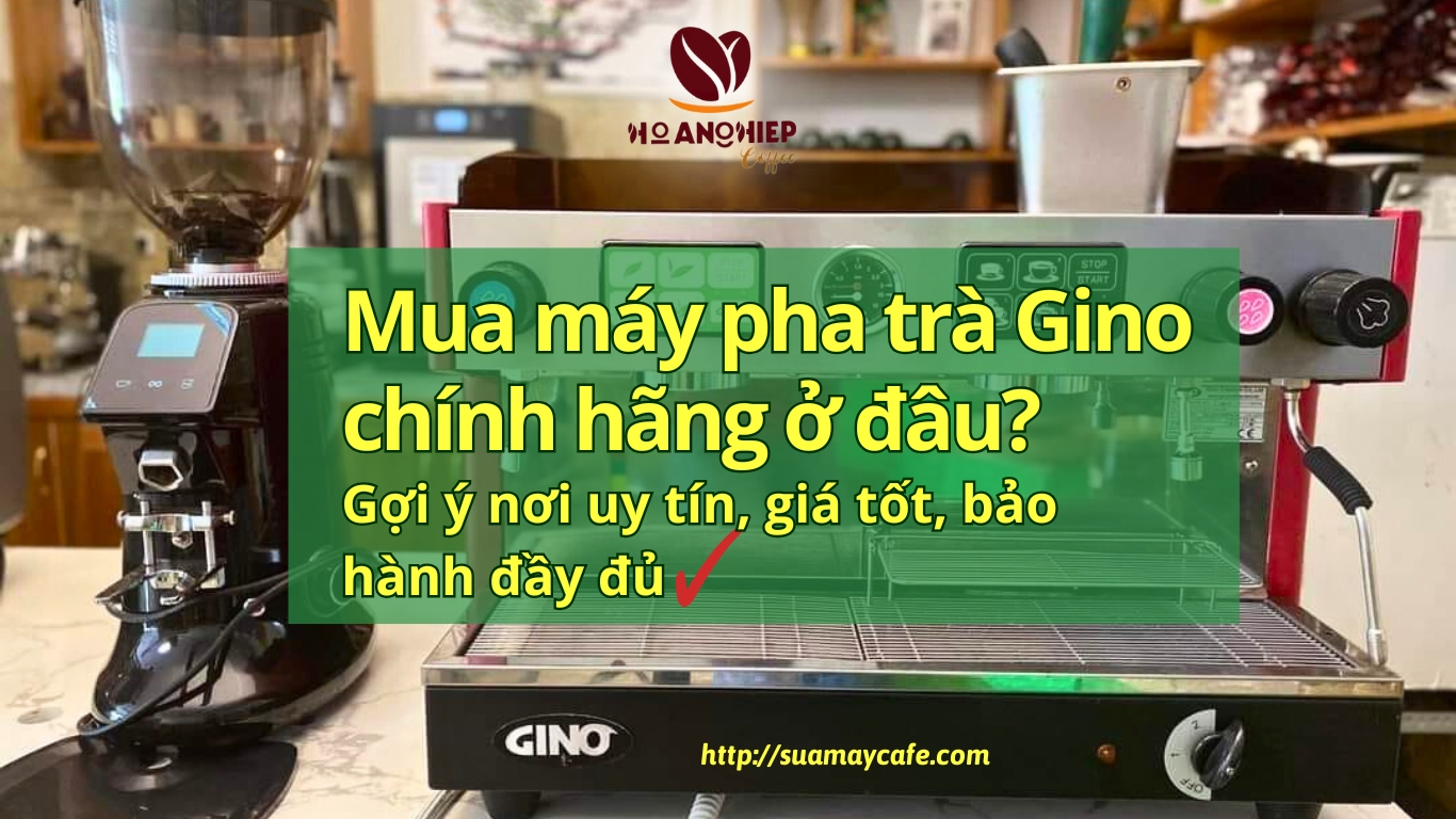Mua máy pha trà Gino ở đâu uy tín? Gợi ý từ Suamaycafe.com