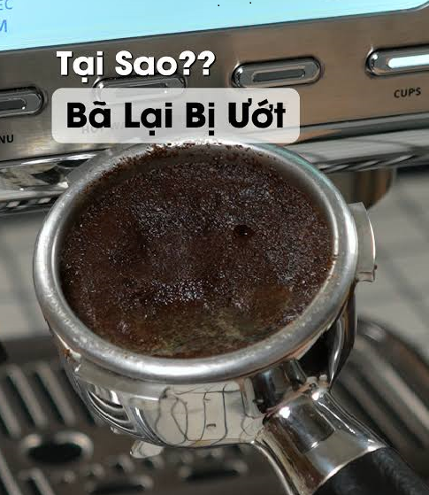 Bã cà phê bị ướt là dấu hiệu máy pha cà phê cần vệ sinh ngay