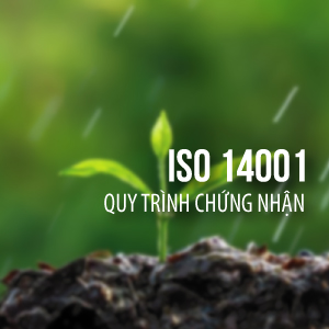 Quy trình chứng nhận - ISO 14001