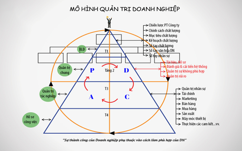 Cơ cấu tổ chức doanh nghiệp là gì? Cơ cấu quản lý là gì?