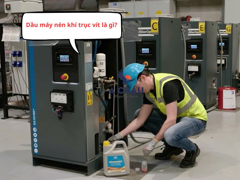 Dầu máy nén khí trục vít là gì? Ưu điểm và ứng dụng phổ biến