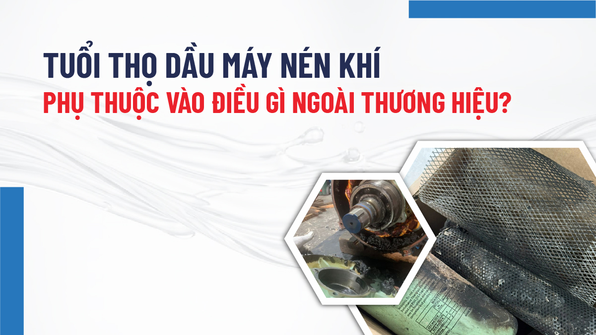Tuổi thọ dầu máy nén khí phụ thuộc vào điều gì ngoài thương hiệu?