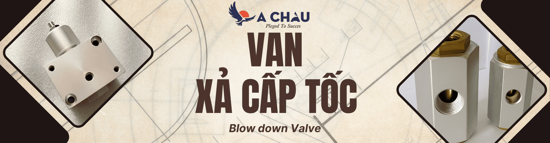 Van xả cấp tốc Blow down valve