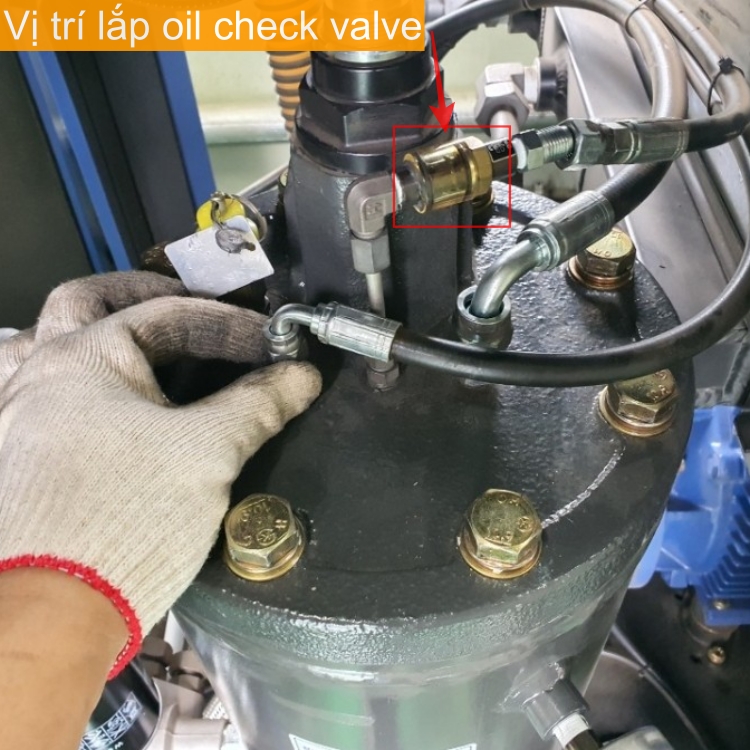 vi tri lap oil check valve