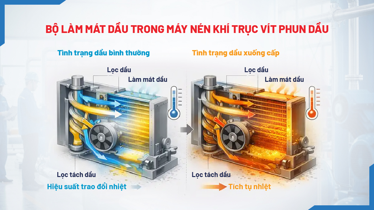 sơ đồ két làm mát dầu máy nén khí và dòng tuần hoàn