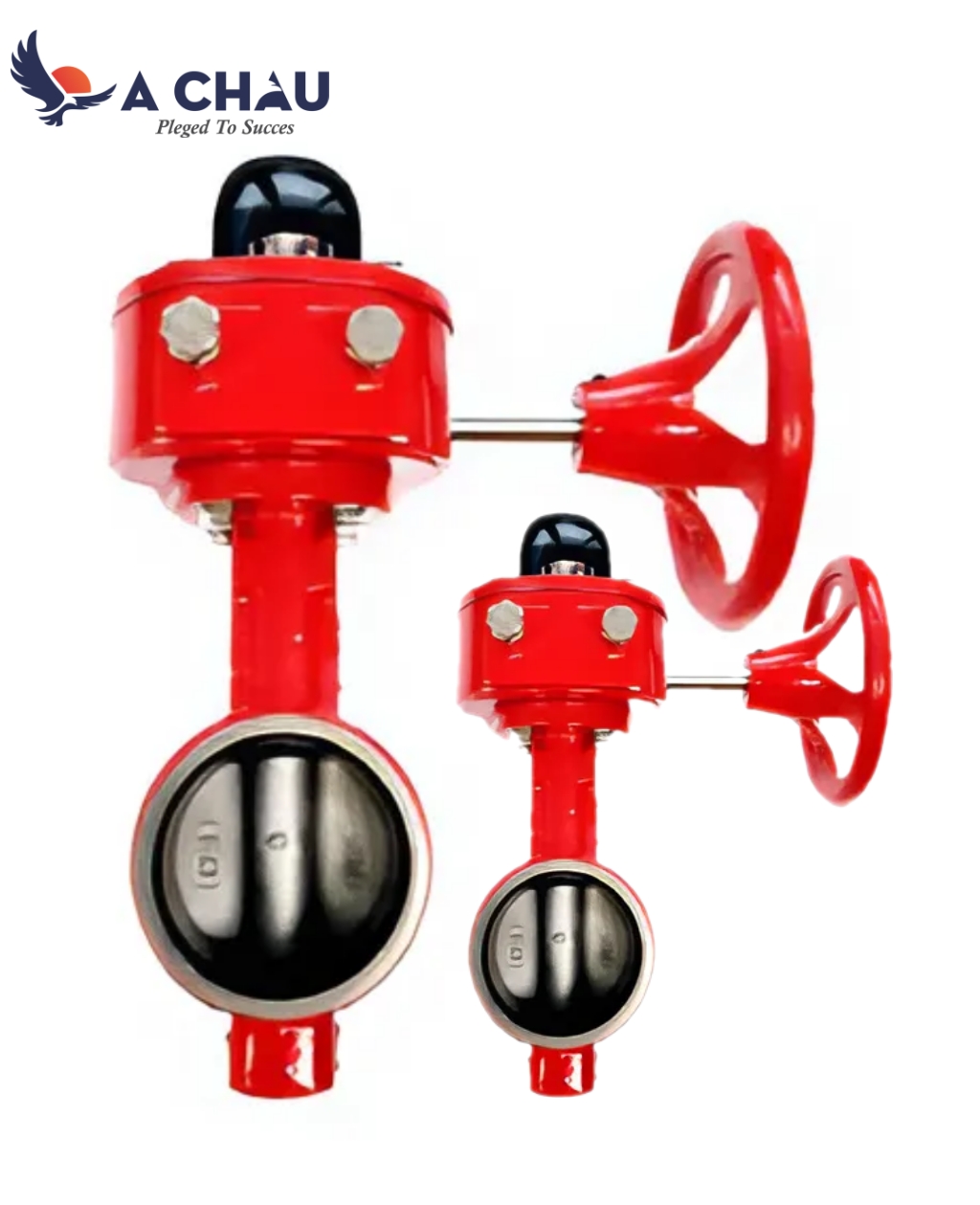 Van bướm tay quay rãnh kẹp (groove type) WGB-10 Wonil Korea