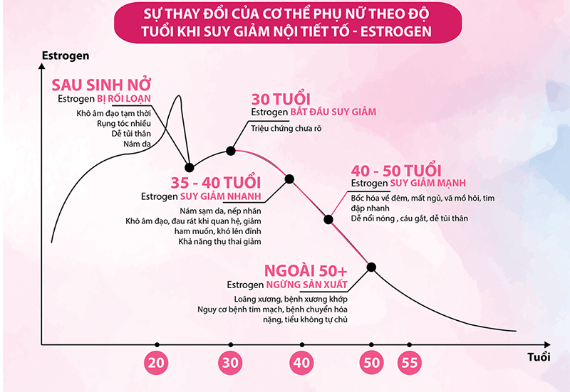 Sự thay đổi của cơ thể phụ nữ theo độ tuổi khi suy giảm nội tiết tố