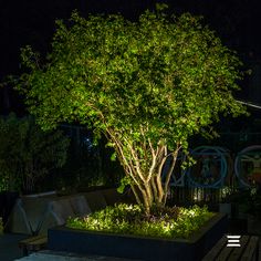 Đèn chiếu cây LC-SP2862