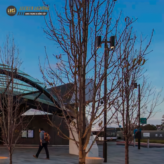 Cột đèn chiếu sáng TANGO