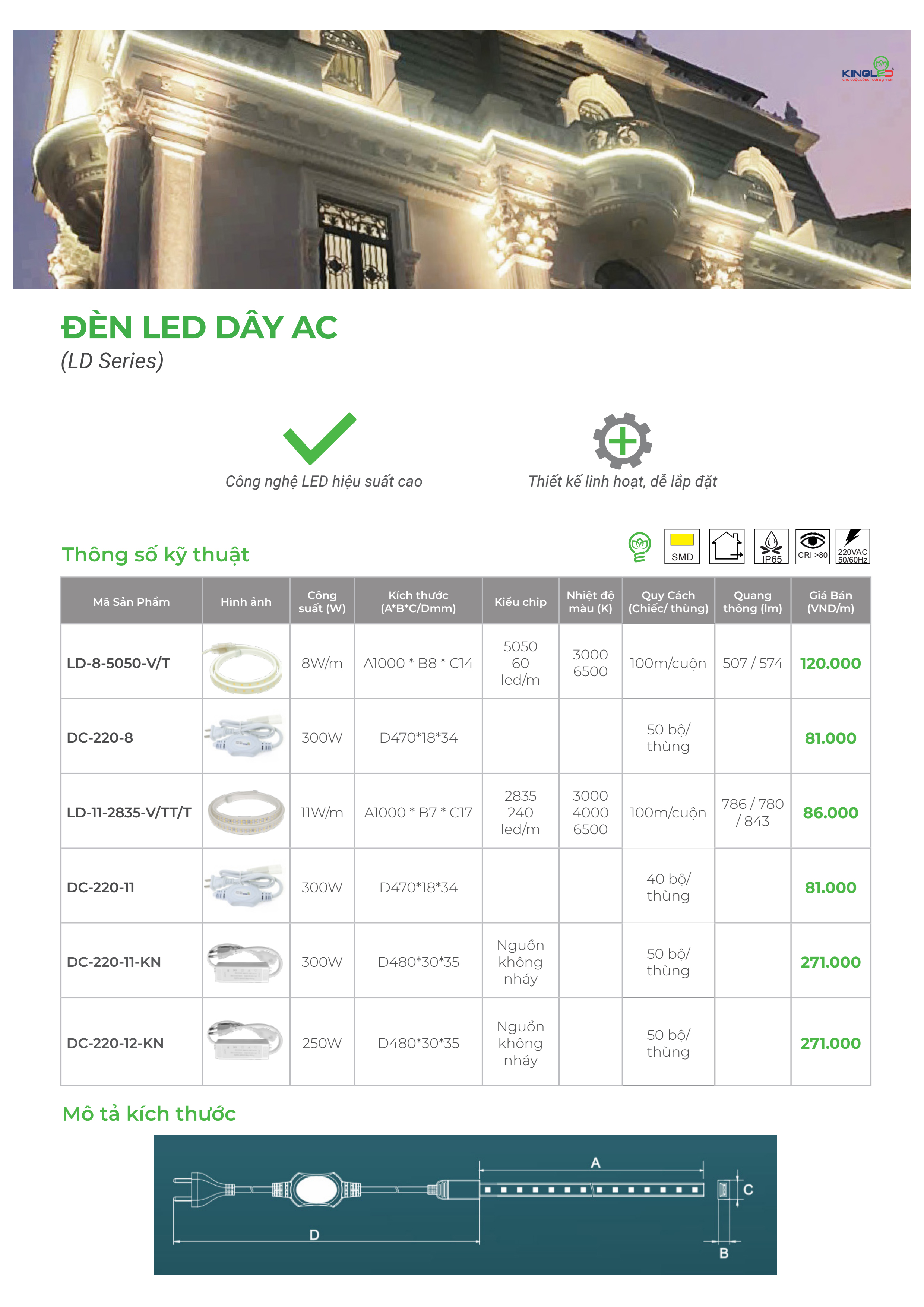 Led dây silicon Kingled AC220V