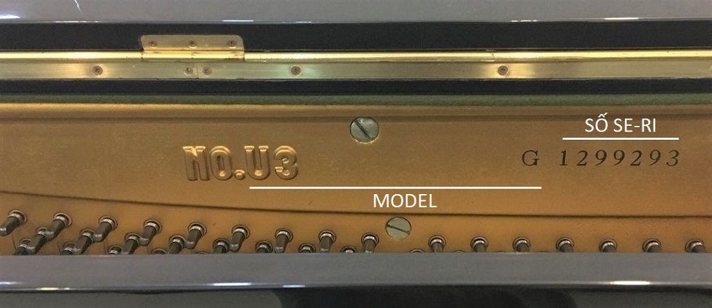Model và số seri trên đàn piano Yamaha