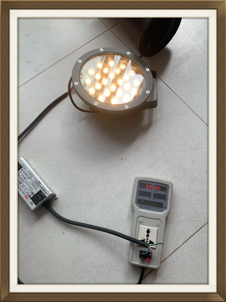 Đèn LED Chiếu Cây 24W 24V